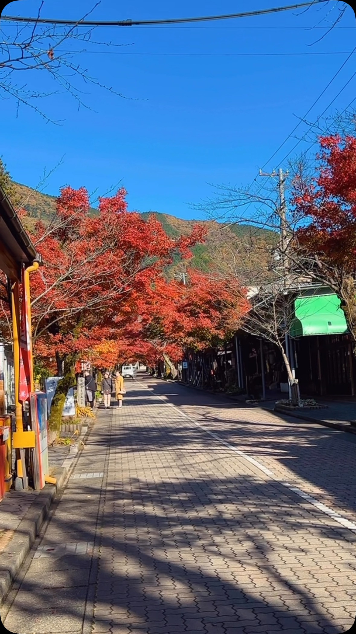 谷汲山華厳寺今が紅葉見頃です。